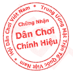 Dan choi chjnh hjeu 1